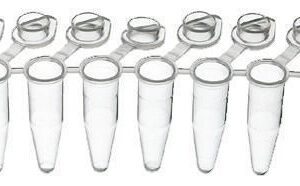 8-tube strips for PCR, with individually attached domed caps, break-apart