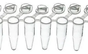 PCR 8-cap strips, domed, for 0,2 ml tube strips