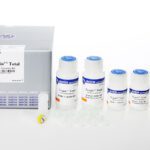 G-spin™ Total DNA Extraction Mini Kit 50 col.