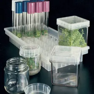 Magenta GA-7-3 Plant Culture Box w/ Lid 100/case.