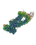 Recombinant SARS-CoV-2 Spike Protein, S2 Subunit