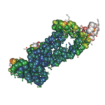 Recombinant SARS-CoV-2 Spike Protein, S2 Subunit