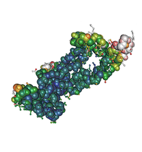 Recombinant SARS-CoV-2 Spike Protein, S2 Subunit