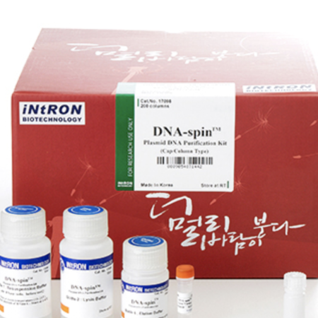 DNA-spin™ Plasmid DNA Purification Kit 200 col