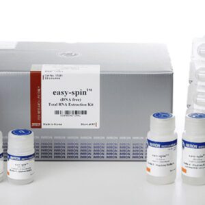 easy-spin Total RNA Extraction Kit 50 col.