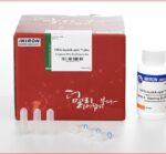 MEGAquick-spin™ Plus Fragment DNA Purification Kit 50col