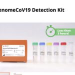 GenomeCoV19 Detection Kit