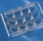 Costar® 12-well Clear TC-treated Multiple Well Plates, Individually Wrapped, Sterile