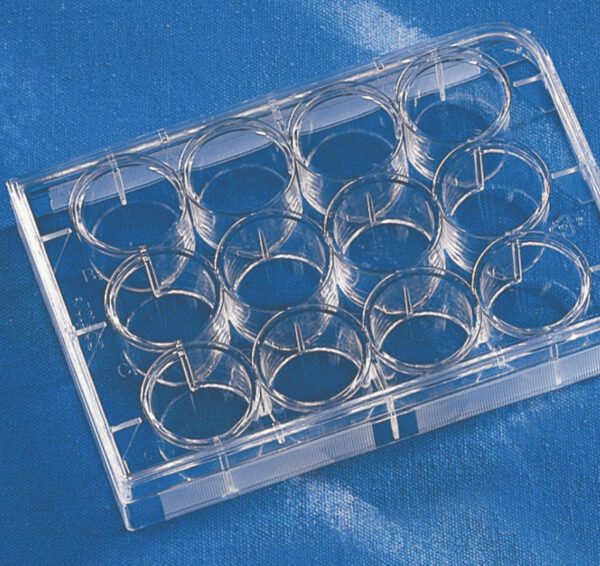 Costar® 12-well Clear TC-treated Multiple Well Plates, Individually Wrapped, Sterile