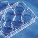 Costar® 6-well Clear TC-treated Multiple Well Plates, Individually Wrapped, Sterile