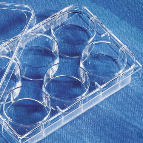 Falcon® 6-well Clear Flat Bottom TC-treated Multiwell Cell Culture Plate, with Lid, Individually Wrapped, Sterile, 50/Case