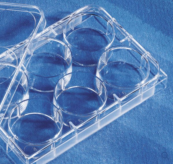 Costar® 6-well Clear TC-treated Multiple Well Plates, Individually Wrapped, Sterile