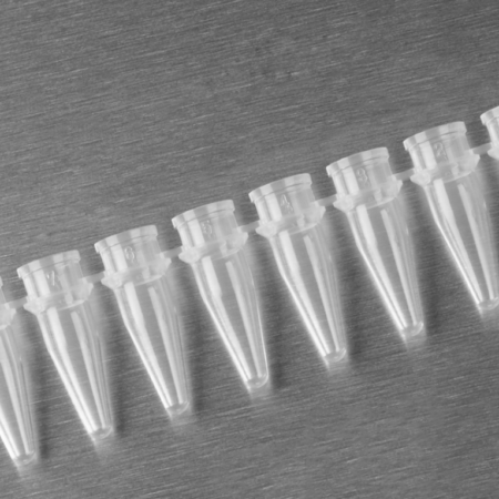 Axygen® 0.2 mL Polypropylene PCR Tube Strips, 8 Tubes/Strip, Clear, Nonsterile