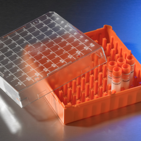 Corning® Polycarbonate 1 - 2 mL Cryogenic Vial Storage Box, Holds 100 Vials