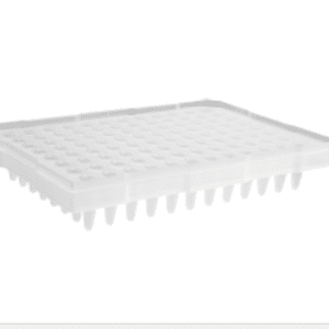 Axygen® 96-Well Polypropylene PCR Microplate Compatible with ABI, Semi-Skirted, Clear, Nonsterile