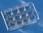 Costar® 12-well Clear TC-treated Multiple Well Plates, Bulk Pack, Sterile