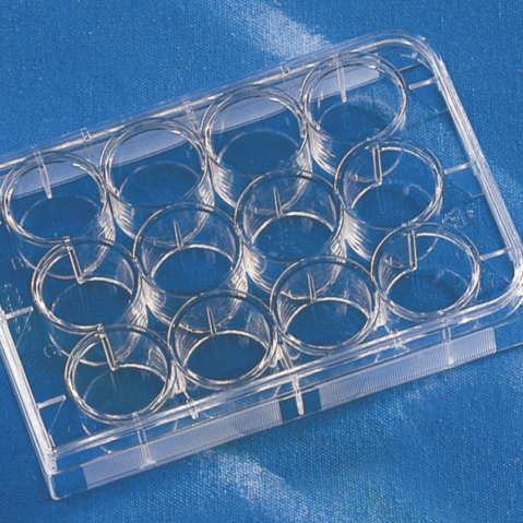 Falcon® 12-well Clear Flat Bottom TC-treated Multiwell Cell Culture Plate, with Lid, Individually Wrapped, Sterile, 50/Case