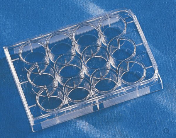 Costar® 12-well Clear TC-treated Multiple Well Plates, Bulk Pack, Sterile