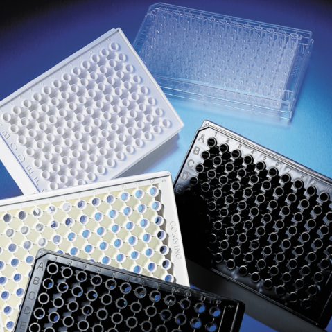 Corning® 96-well Solid Black Flat Bottom Polystyrene TC-treated Microplates, 20 per bag, with Lid, Sterile