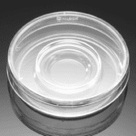 Falcon® 60 mm TC-treated Center Well Organ Culture Dish, 20/Pack, 500/Case, Sterile