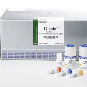G-spin™ Genomic DNA Extraction Kit (for Bacteria)