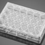 Falcon® 24-well Clear Flat Bottom TC-treated Multiwell Cell Culture Plate, with Lid, Sterile, 50/Case