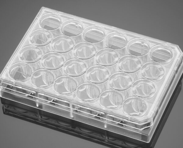 Falcon® 24-well Clear Flat Bottom TC-treated Multiwell Cell Culture Plate, with Lid, Sterile, 50/Case