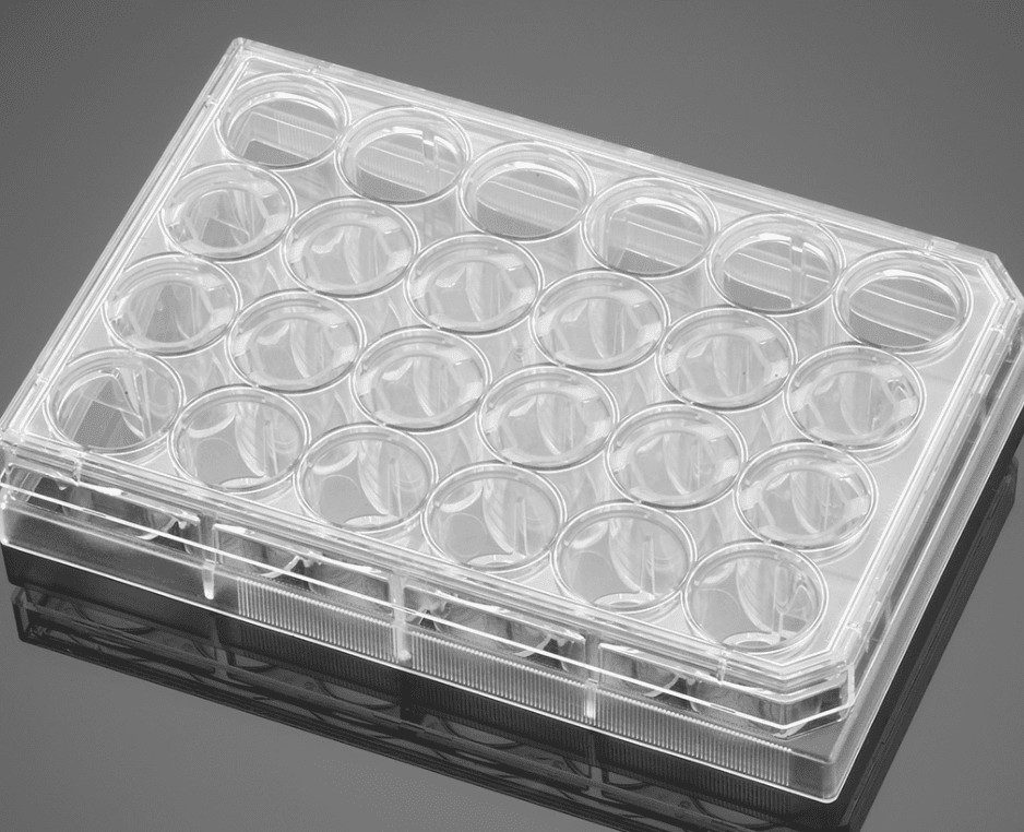 Costar® 24 Well Clear Tc Treated Multiple Well Plates Individually Wrapped Sterile Algenome Shop