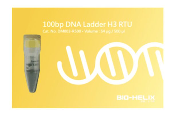 BH 100bp DNA Ladder H3 RTU