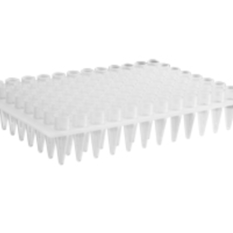 Axygen® 96-well Polypropylene PCR Microplate, No Skirt, Elevated Wells, Compatible with MegaBACE Sequencer, Clear, Nonsterile