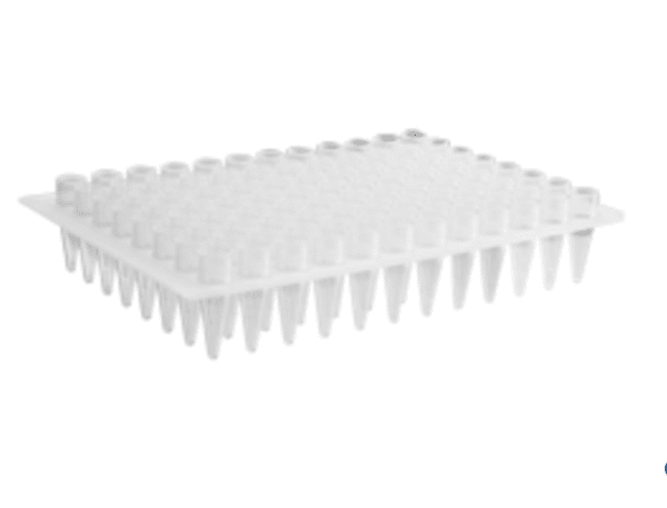 Axygen® 96-well Polypropylene PCR Microplate, No Skirt, Elevated Wells, Compatible with MegaBACE Sequencer, Clear, Nonsterile discontinued from manufacturer