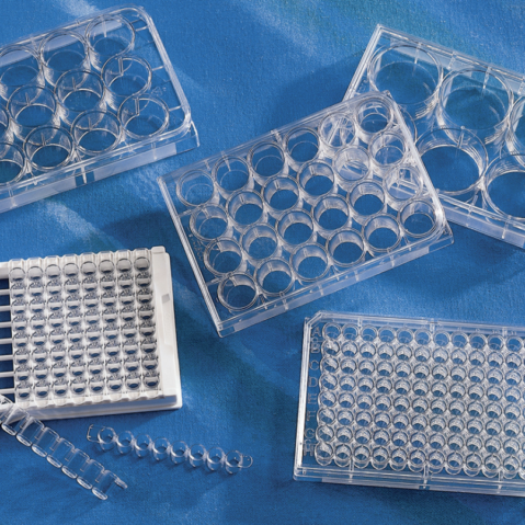 Corning® 96-well(1 x 8 Stripwell™) Clear Flat Bottom Polystyrene TC-treated Microplates, Individually Wrapped, with Lid, Sterile