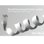 BLUelf Prestained Protein Ladder Size: 500 μl