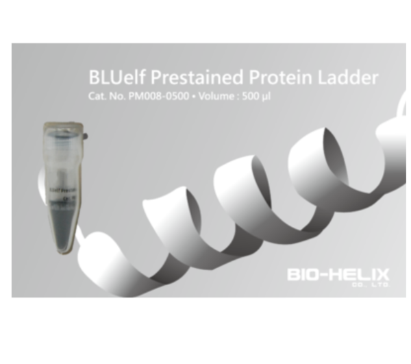BLUelf Prestained Protein Ladder Size: 500 μl