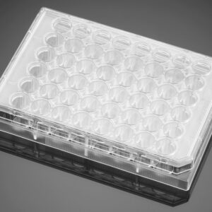 Falcon® 48-well Clear Flat Bottom TC-treated Cell Culture Plate, with Lid, Individually Wrapped, Sterile, 50/Case
