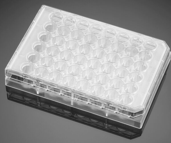 Falcon® 48-well Clear Flat Bottom TC-treated Cell Culture Plate, with Lid, Individually Wrapped, Sterile, 50/Case