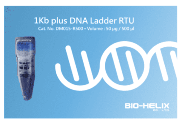 BH 1 Kb plus DNA Ladder RTU (Ready-to-Use)