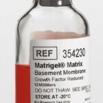 Corning® Matrigel® Growth Factor Reduced (GFR) Basement Membrane Matrix, LDEV-free, 10 mL