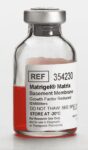 Corning® Matrigel® Growth Factor Reduced (GFR) Basement Membrane Matrix, LDEV-free, 10 mL