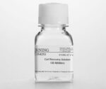 Corning® Cell Recovery Solution, 100 mL