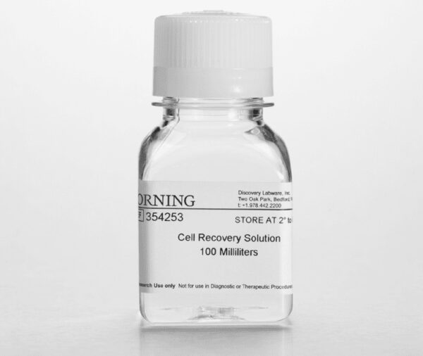 Corning® Cell Recovery Solution, 100 mL