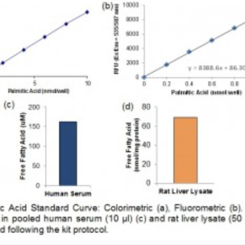 Free Fatty Acid Quantification Colorimetric/Fluorometric Kit