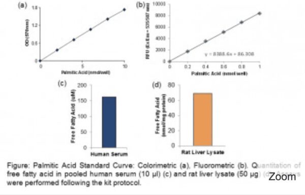 Free Fatty Acid Quantification Colorimetric/Fluorometric Kit