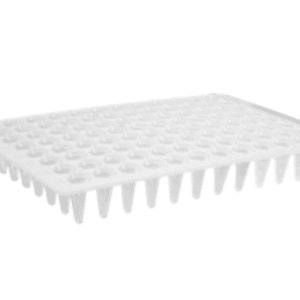 Axygen® 96-well Polypropylene Flat Top PCR Microplate, Low Profile, No Skirt, Clear, Nonsterile