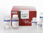 DNA-midi™ GT Plasmid DNA Purification Kit 25 Tests