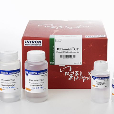 DNA-midi™ GT Plasmid DNA Purification Kit 25 Tests