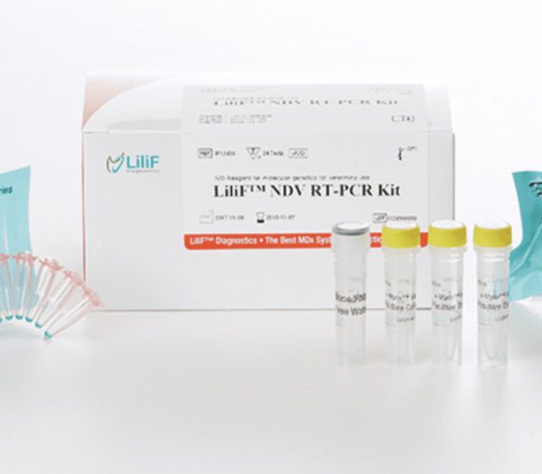 LiliF™ NDV RT-PCR Kit 24 tests