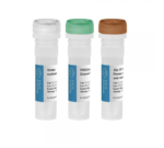 FIREScript® RT cDNA synthesis MIX