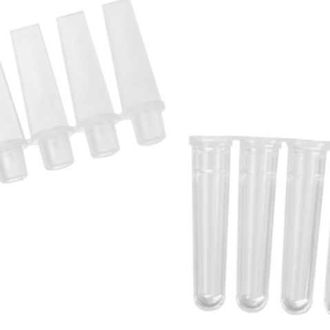 Axygen® 0.1 mL Polypropylene PCR Tube Strips and Caps, 4 Tubes/Strip, 4 Caps/Strip, Clear, Nonsterile