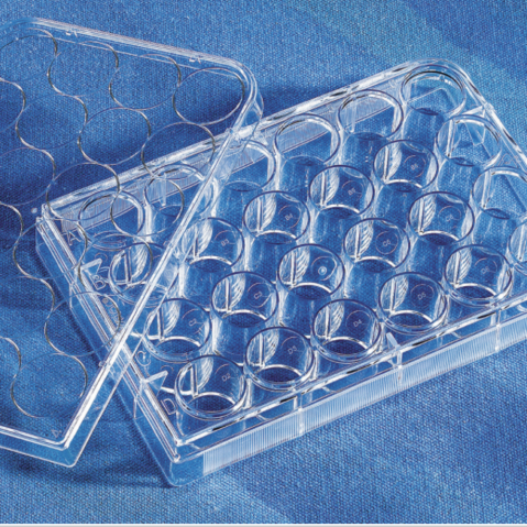 Costar® 24-well Clear TC-treated Multiple Well Plates, Individually Wrapped, Sterile